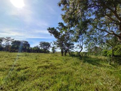 Ch�cara para Venda, em �lvares Machado, bairro BAIRRO LIMOEIRO