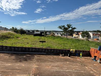 imagem-miniatura